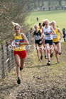 Senior women, 2020 British Athletics Inter Counties Cross Country Champs., Prestwold Hall, Loughborough. Photo: David T. Hewitson/Sports for All Pics